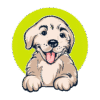 puppies for sale near me