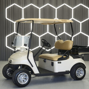 2019 E-Z-GO TXT 2-Passenger Electric Golf Cart